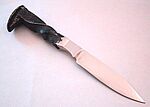 2002-03-20 Railroad Spike