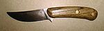 2001-03-15 Oak Skinner