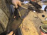 Basic Rawhide Sheath Construction 07