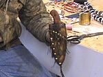 Basic Rawhide Sheath Construction 09