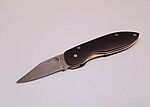 2002-02-08 Micarta and Brass Liner Lock